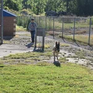 Meet your Posher, Kevin